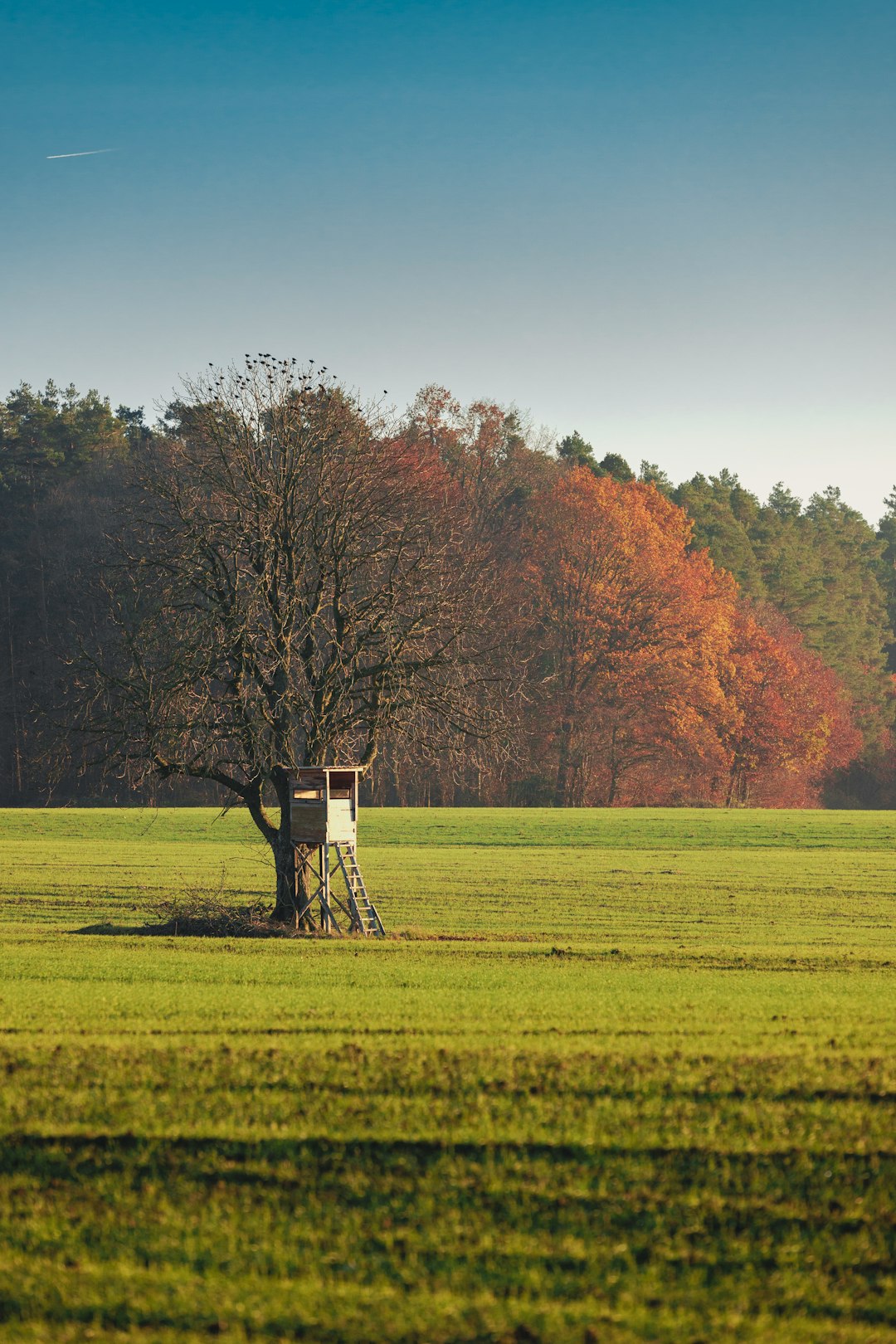 How to prepare your Pennsylvania land to buy