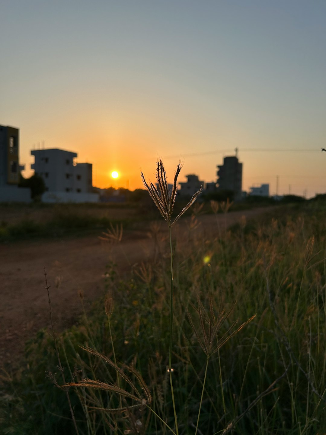 How to Sell Your Hawaii Land for Cash: A Detailed Overview