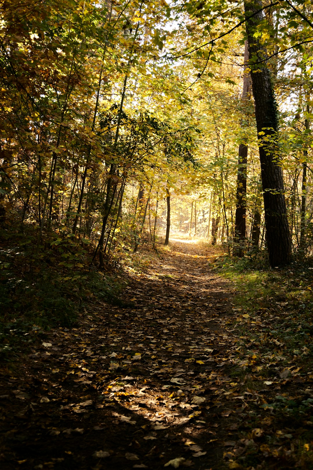 What is the value of Oklahoma land when costing money?