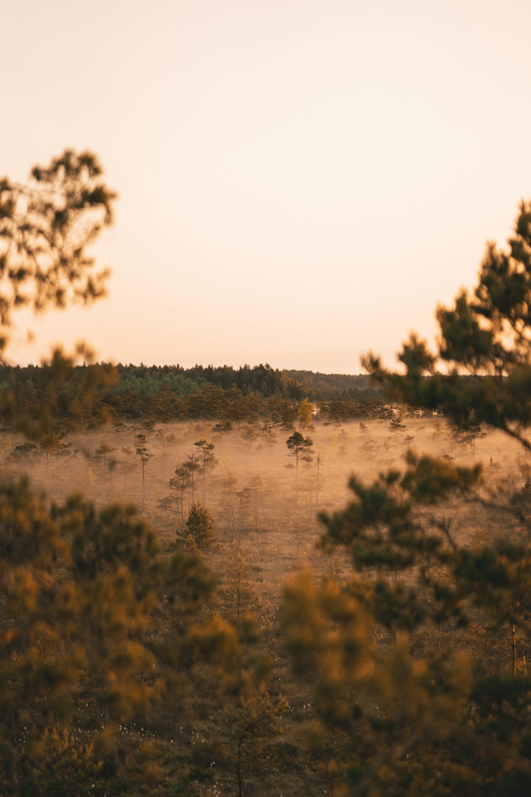 What is one of the most efficient technique for selling vacant Colorado land for cash money?