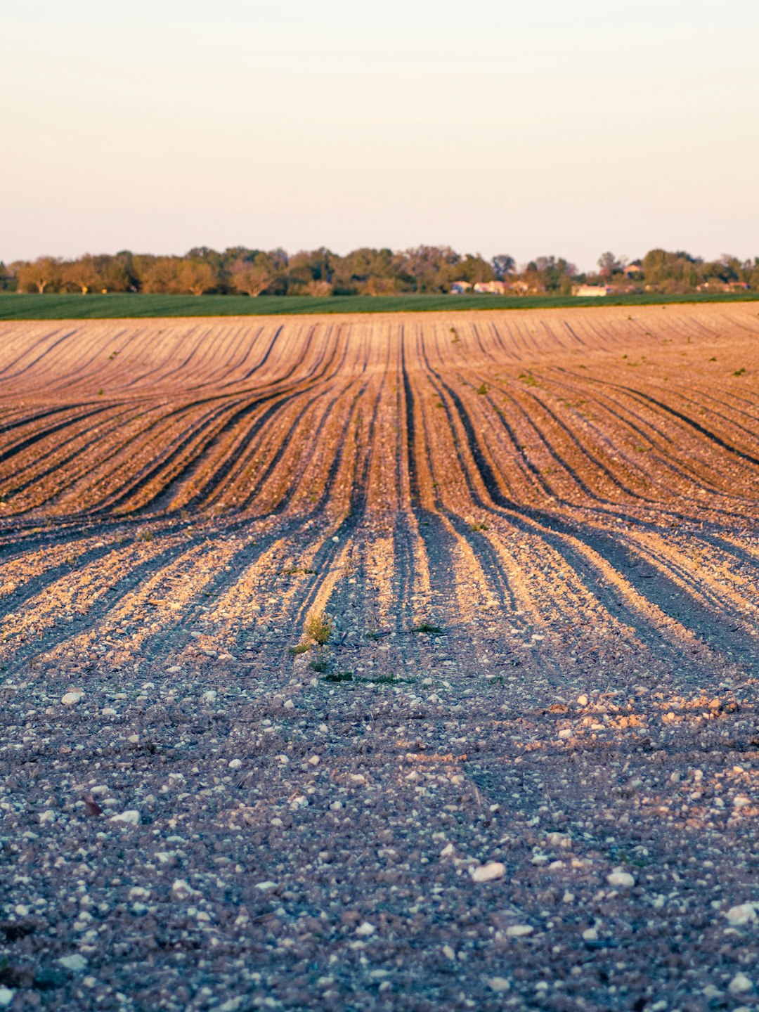 How to Offer Your Colorado Land Promptly for Cash