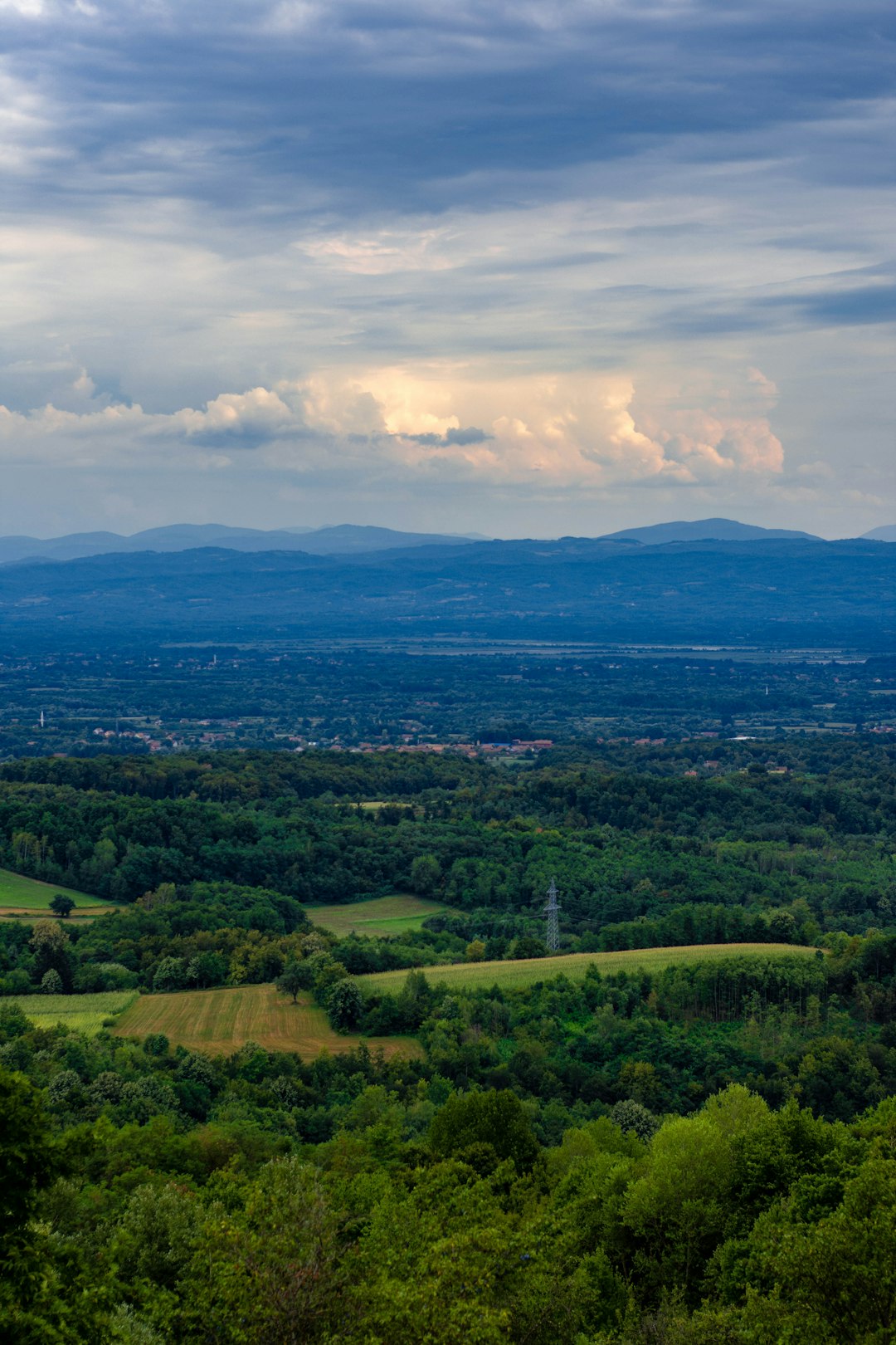 How to Sell Your Idaho Land Swiftly for Cash Money