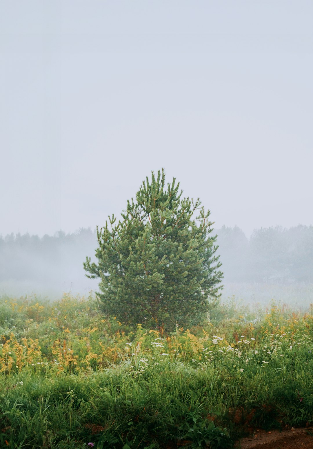 How to Bring In Customers and Seal The Deal on Your Idaho Land for Cash