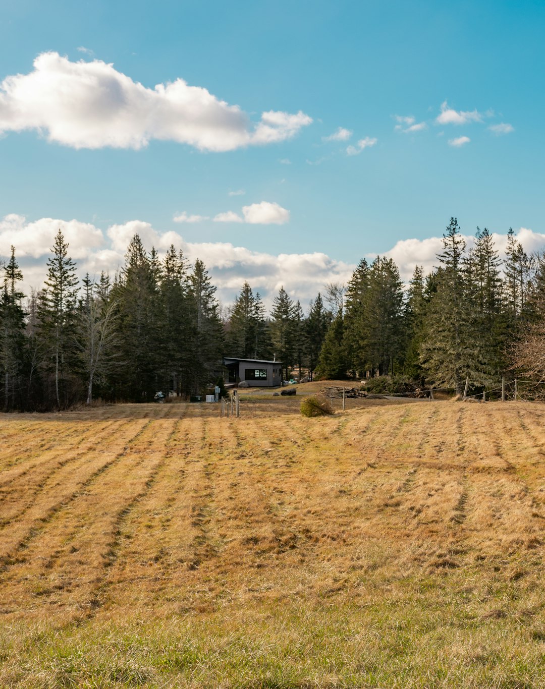 How to Draw In Buyers and Seal The Deal on Your Idaho Land for Cash