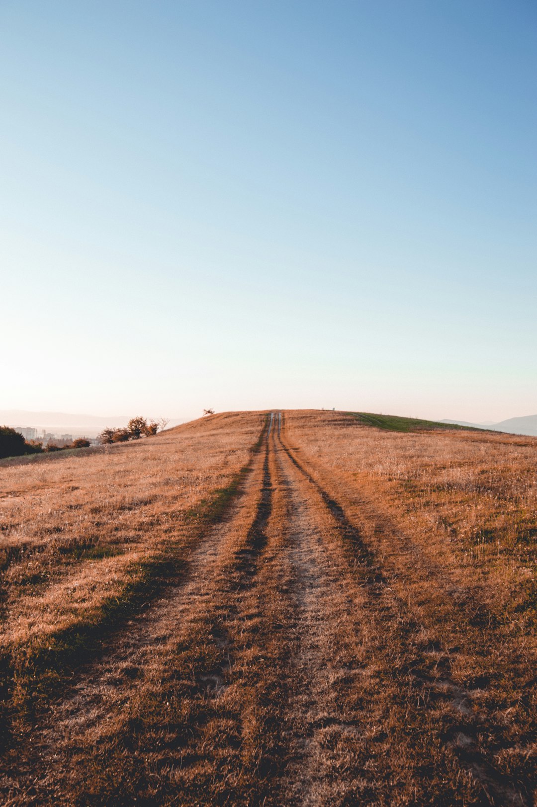 What is the value of Wyoming land when costing cash money?