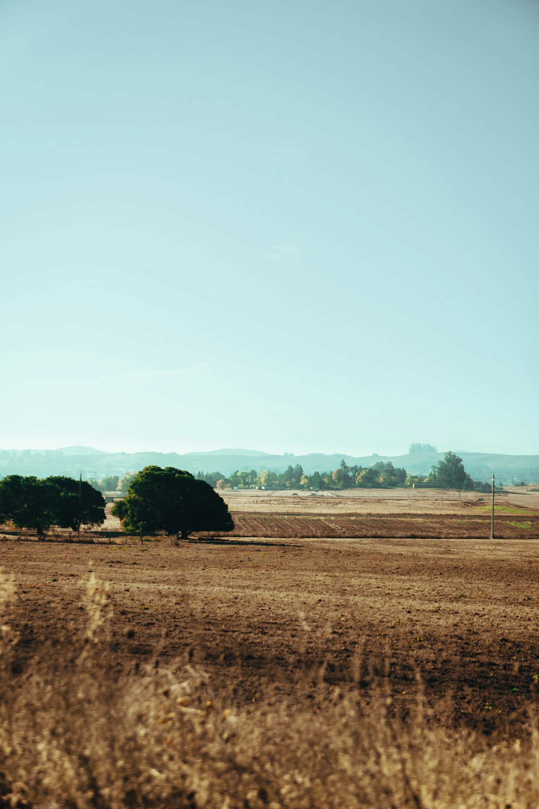 How to Optimize Your Earnings by Selling Wyoming Land Tactically