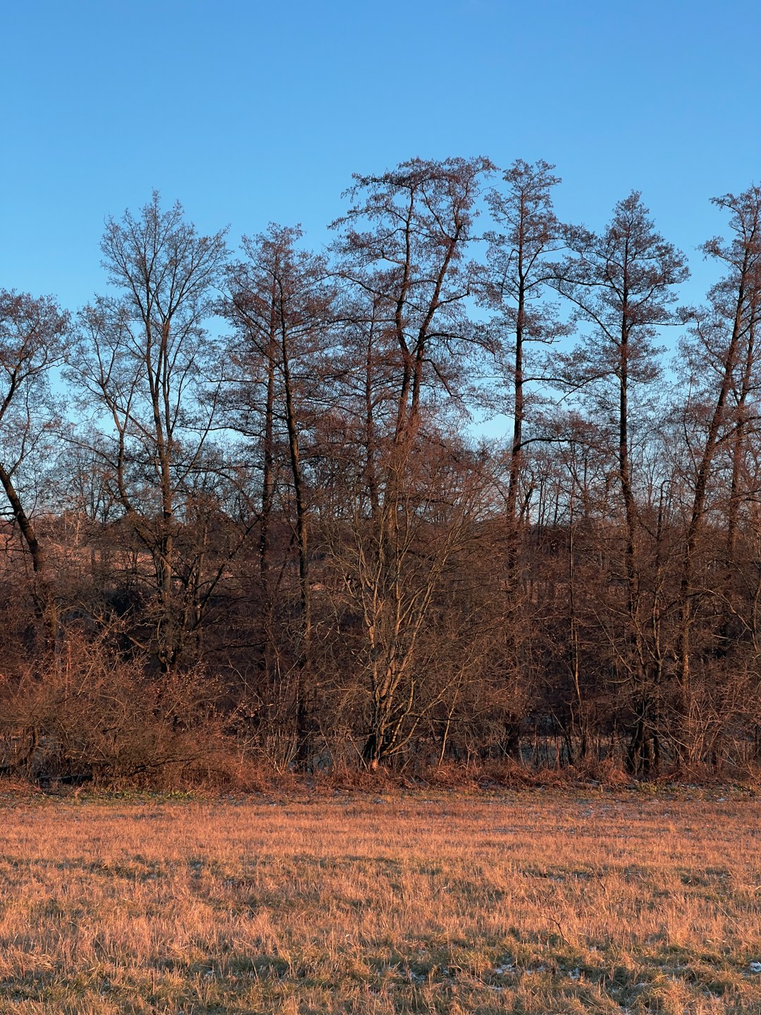 How to speed up the sale of Iowa land for cash money