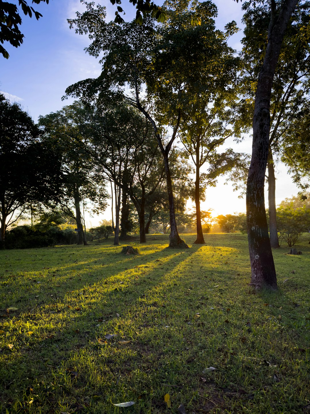 What is the value of Wisconsin land when costing cash?