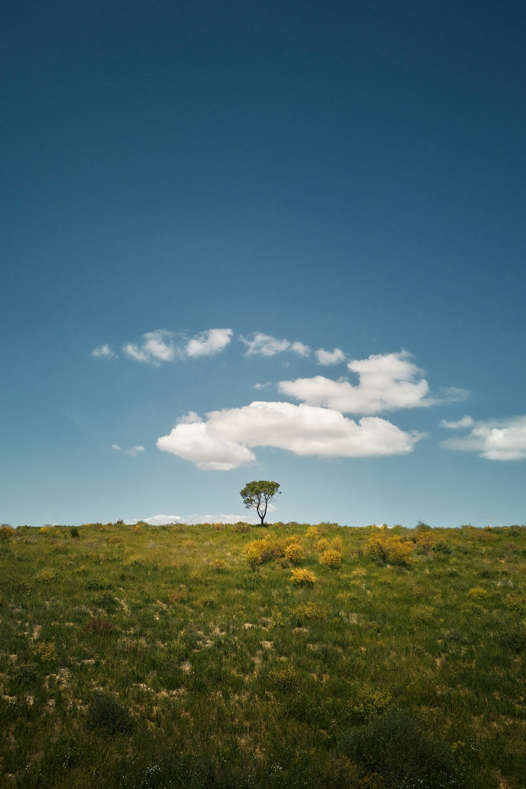 What is the value of Wisconsin land when costing cash money?