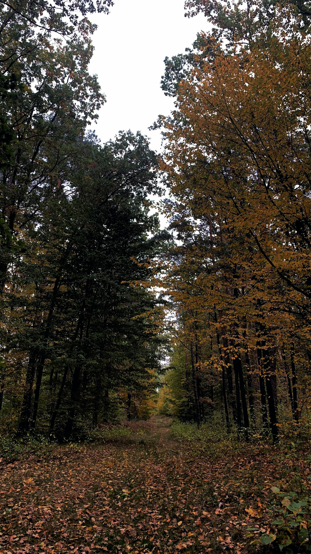 How to speed up the sale of Iowa land for cash