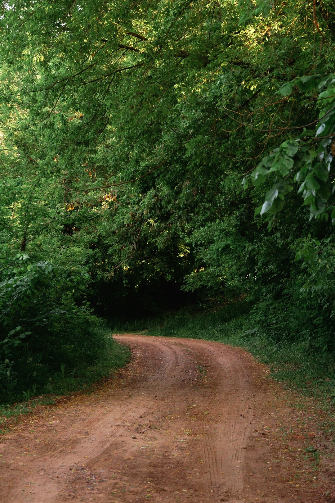 How to navigate the procedure of selling Iowa land for cash