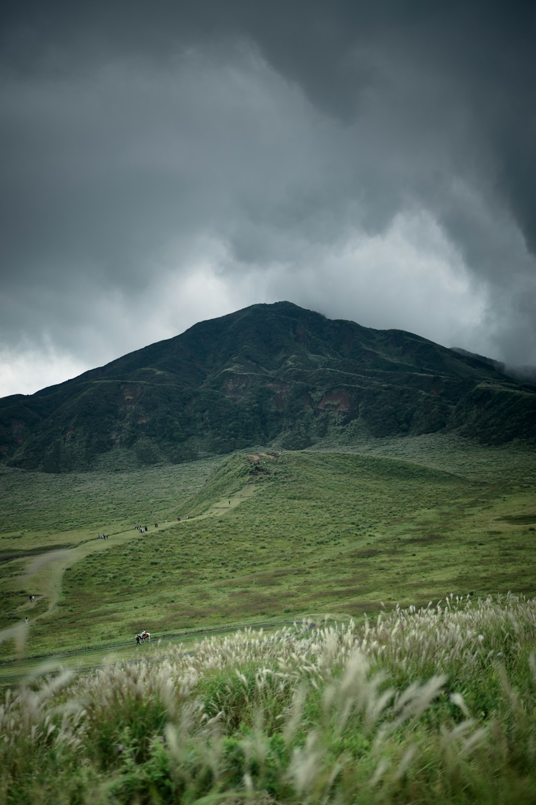 What are some tips for maximizing profit when selling Montana land for cash?